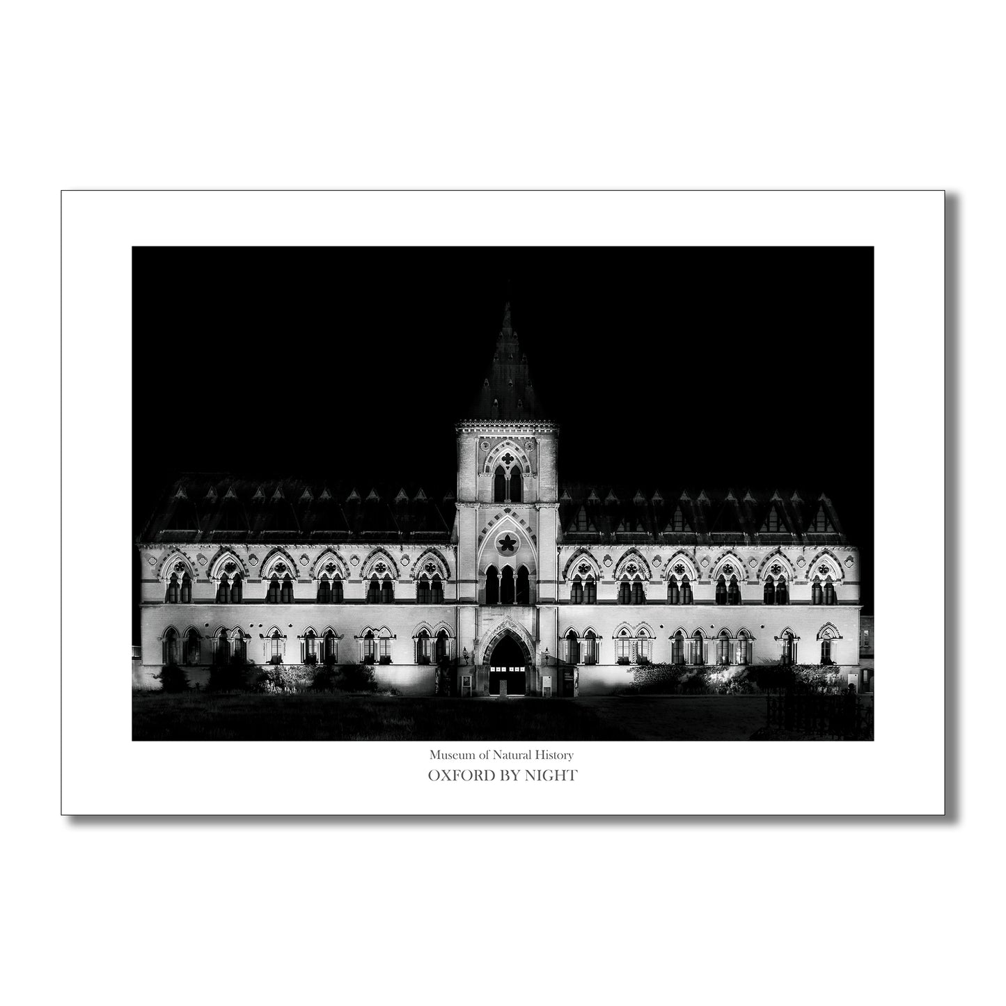 Exclusive B&W art print showcasing the Oxford University Museum of Natural History under the cover of darkness. A mesmerizing black and white image highlighting the unique architecture of this historic museum