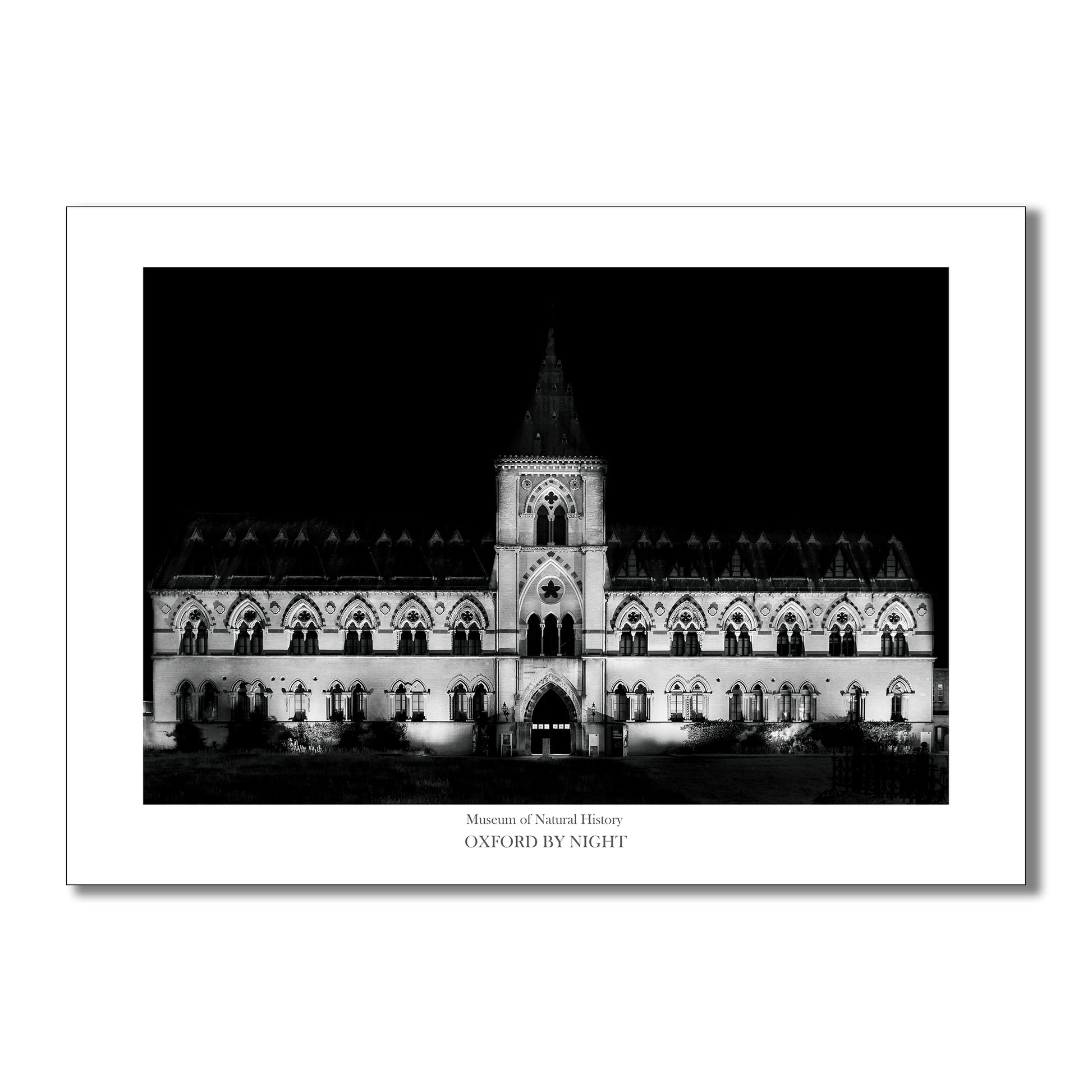 Exclusive B&W art print showcasing the Oxford University Museum of Natural History under the cover of darkness. A mesmerizing black and white image highlighting the unique architecture of this historic museum